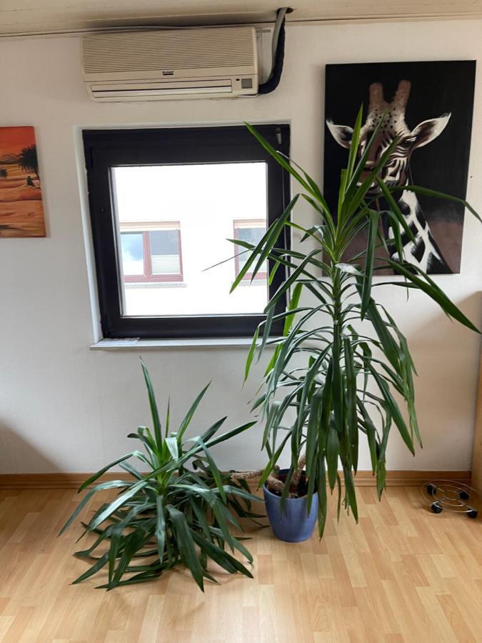 Monteurwohnung - Ferienwohnung Naehe Limburg An Der Lahn Flacht المظهر الخارجي الصورة